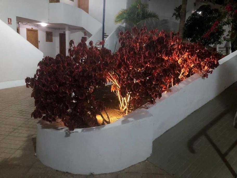 Helena En Garden Con Piscina Climatizada Appartement Playa Feñabe