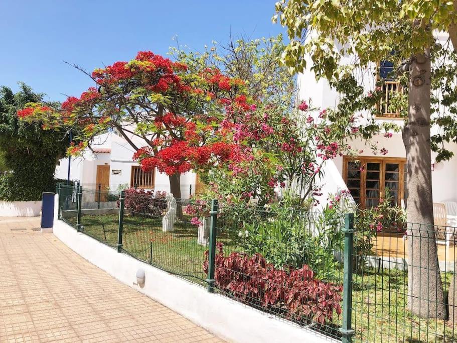 Appartement Helena En Garden Con Piscina Climatizada